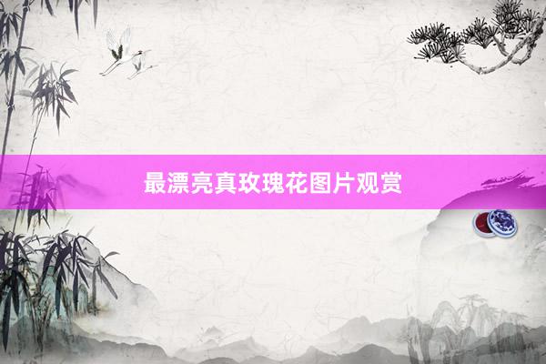 最漂亮真玫瑰花图片观赏